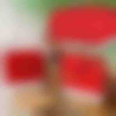 Fodere per sedie in stile natalizio (4 pezzi) | SANTASEAT