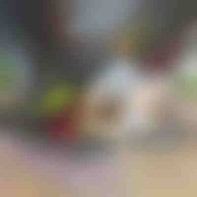 Tritatutto e affettatrice 12 in 1 | CHOPMASTER