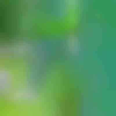 Uno strumento per rimuovere le erbacce | SPINOUT